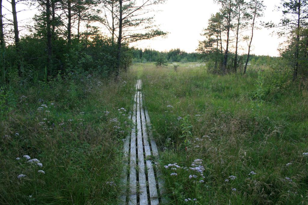 Kotkapoja Residence Kuressaare Ruang foto